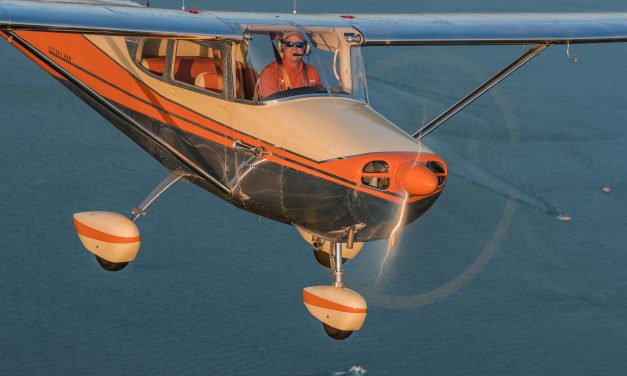 Owner’s Perspective: Cessna 172