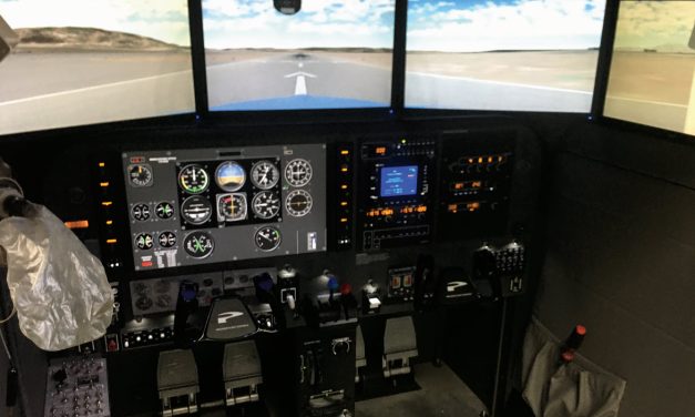 Flight Simulator Survey: Member Insight & Tips