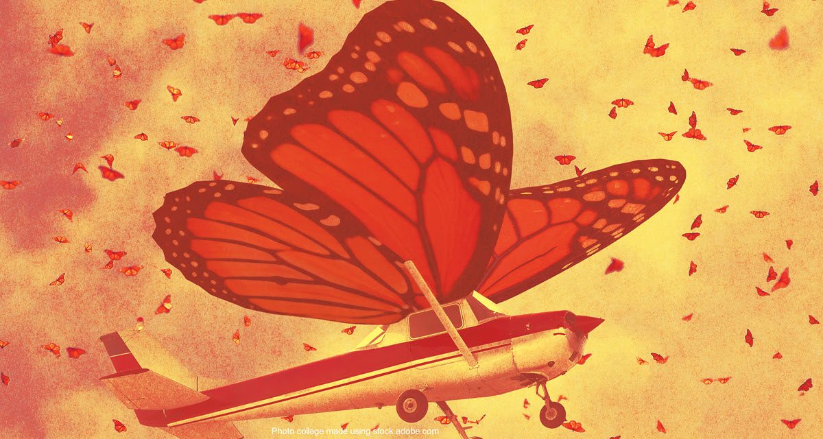 Monarchs and Midair Impacts