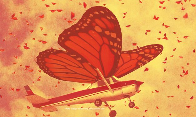 Monarchs and Midair Impacts