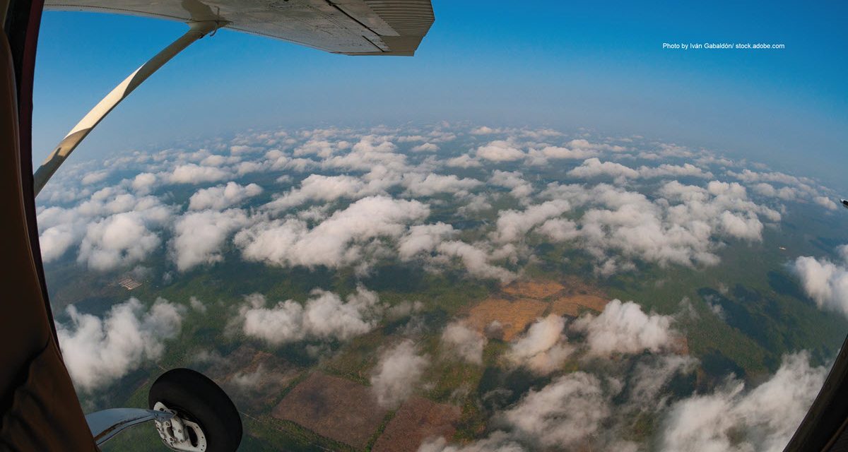 The Littlest Emergency