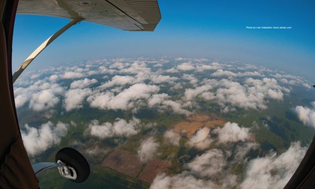 The Littlest Emergency