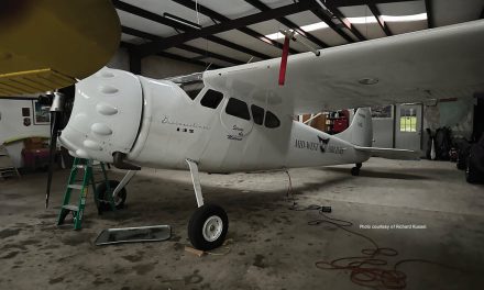 No More Moth Balls: Winter Storage Suggestions