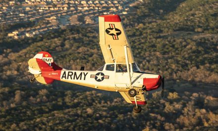 A Modern Classic: The 2001 Cessna Bird Dog