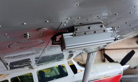 Split-Second Bird Strike Avoidance