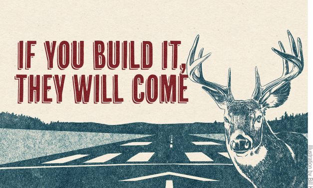 SKY TALK: If You Build It, They Will Come